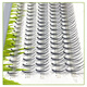 TSEYE False eyelash single tuft natural self-adhesive false eyelash grafting sandwich fairy hair eyelash self-grafting eyelash hair 8mm curl C