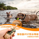 SODOG 新款彩屏遥控训狗器止吠器电击项圈训狗神器防止狗叫防爆冲 KT689-拖1(1只狗狗的选)