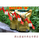 Money Green Willow Tea Centennial Tree Money Green Willow Health Tea Make Leaf Tea Gold Money Willow 500G
