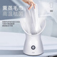 Golden Rice Hot Spray Facial Steamer Replenishing Moisture Facial Steamer Nano Sprayer Home Facial Beauty Instrument Facial Humidifier Smoky Face Steamer Open Pores Traditional Chinese Medicine Facial Steamer Girl Gift Ivory White