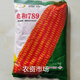 Qiule 368 corn seed wholesale lodging resistant, drought resistant and disease resistant red shaft big stick Damaya National Approval 4200 grains Tongyu 609/1kg