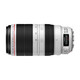 Canon EF 100-400mm f/4.5-5.6L IS II USM telephoto zoom lens international version