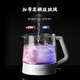 LIFE ELEMENT health kettle 0.8L office mini steam spray type automatic/manual double-speed tea kettle electric kettle private flower tea kettle I72