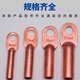 ABLEMEN 铜鼻子DT-25mm 铜接线端子 铜闭口线耳铜鼻子 整包出售(1包20只)