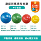 Theratools Pasteur Ball Rehabilitation Training Yoga Ball 55cm Balance Ball Explosion-proof Fitness Adult Pregnant Women Dragon Ball Children's Sensory System Silver Professional Model 85cm Suitable for Sensory Training