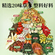 
Mingyuan Qingqian Liu Corn and Scarlet Mulberry Leaf Tea Pueraria root lowers sugar, hawthorn, three high blood lipid pressure, and gift box for elders health tea 6 cans 108g [Try drinking] [Reject three highs]