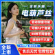 Bainuo Huaxia's Rhyme Electric Hoist Silk Musical Instrument Domestic Electronic Blow Tube Hulusi Electronic Electric Electric Sakura Instrument de musique débutant Jinzhu Couleur