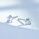 Mengjinyuan PT950 platinum earrings, star shining car flower earrings, birthday gift for girlfriend, about 1.25g
