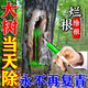 Rotten tree root agent, big tree removal, one drop, one drop, one needle, powerful tree removal agent, special medicine to kill big tree, rotten root king, genuine bottle, powerful tree removal 100ml 1 bottle