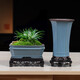 Yuxuantang rétro ge kiln fleur pot céramique argile violette petite feuille rouge nanmu papillon orchidée végétale verte salon intérieur en pot pott-bambou pot