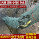Jingpin fish and shrimp net cage, ground net cage, lobster net, ground dragon fish net cage, fishing net, fishing net cage, shrimp cage, eel cage, turtle cage, large frame 10 meters, 33 sections, 20 doors + gifts (issued today)