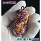 Guig Wenwan Maisgriff [Glas Edelsteinblutunterbrechung] Eine Sache One-Shot Bodhi Mini Ornament Hand Achat Farbe 9930