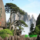 
Internet celebrity live background cloth 3D three-dimensional landscape painting movable high-definition live room outdoor interior background wall ZP-13547 2.5 meters wide - 2.5 meters high (hook type)