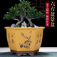 宜兴紫砂盆六方兰花盆室内花卉老桩绿植物盆栽大号手工花盆盆栽盆 719款六方黄色大 配塑料托盘+沥水网   紫砂