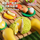 Xinshite (XST) Fruchtschnitt Le schaltbar geschnitten Durian Simulation Küchenspielzeug Dine Cooking Girls Spielzeug Geburtstagsgeschenk