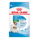 Comida real comida para perros pequeños cachorro de leche a precio completo pastel de leche pomerania vip teddy Yorkshire teacup dog type universal mis30 pastel de leche de perro pequeño 3 kg de raza completa