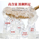 Swallow Hefu bird's nest dried bird's nest pregnant women's nest Malay Mizhang CAIQ certification imported traceability dry bird's nest nutrition gift box traceability imported bird's nest 30g [about 10 cups]