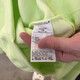 
Nike (Nike) sweatshirt women's autumn and winter outdoor fitness training sportswear plus velvet warm comfortable casual round neck pullover DQ5734-736 electronic green lining plus velvet S