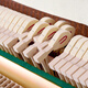 Deloy Beijing Zhujiang Piano DW118 vertical piano German accessories for children beginners' home professional grade