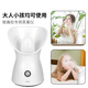 Golden Rice Hot Spray Facial Steamer Replenishing Moisture Facial Steamer Nano Sprayer Home Facial Beauty Instrument Facial Humidifier Smoky Face Steamer Open Pores Traditional Chinese Medicine Facial Steamer Girl Gift Ivory White