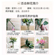 Yue Colorful AB grade high-quality perfume lilies, various living flowers for home and office, Kunming base, freshly picked for straight hair, 10 random single-color lilies (5 branches for double heads)