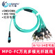 润丹福 MPO转FC SC ST多模万兆光纤跳线mtp-fc光纤跳线40G qsfp大数据中心光模块 12芯OM4 2m
