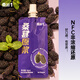 Sangjia 1 Mulberry Black Wolfberry Raw 210ml/box Anthocyanin Original Juice Fresh Fruit Original Black Mulberry Nutritional Healthy Juice