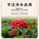 Liu Zhengguan Pang Donglai Ginseng Changbai Mountain Wild Ginseng Authentische chinesische medizinische Material