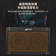 JOYO Guitar Singing Speaker AC40S Outdoor Roadshow Indoor Live Broadcast Internal Recording of Karaoke Charging Bluetooth Speaker AC-40S+DM-2 Wireless Dynamic Microphone