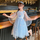 
Anneyol Snow White Skirt Frozen Girls Summer Dress Medium-Grand Children's Baby Spring and Autumn Puffy Gauze Skirt A841 Blue 110
