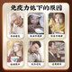 Nanjing Tongrentang Break Wall Ganoderma Lucidum Spore Powder Granules 40g*20 Packages for Adults, Middle-aged and Elderly Enhanced Immunity, Health Care, Nutrition and Immune Regulation 3 Boxes [Five Boxes One Week Ago, 99% of people choose]