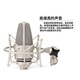 BABYBOTTLESL-103 66 large diaphragm microphone professional live broadcast karaoke recording home live broadcast microphone SL-103 silver