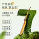 Dongyangguang Cordyceps sinensis 3-4 raíces/G6G Aproximadamente 20 raíces Cordyceps Caja de regalo de alta gama Suplementos nutricionales para ancianos y padres