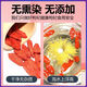 
Ningxia wolfberry authentic Zhongning specialty dry goods special grade wolfberry free wash small and medium fruit tea drinkable independent small package 500g independent small package Ningxia red wolfberry 250g (50 small packages)