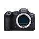 Canon EOS R6 Mark II R6 second generation R62 full-frame microcamera R6 II RF50mm F1.8 STM standard