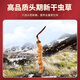 
Tongfu Cordyceps sinensis 3 roots/g 100g About 300 roots gift boxes, nourishing nutritional supplements, gifts for elders