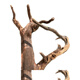 LDVEP40-49CM1 Link Aquarium Boutique Boutique Small Wderking Wood Teak Instant Hunding Bridge Puente de América del Sur No. 10474