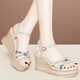 Red Dragonfly Heeled High Heel Sandals for Women in Summer 2025 New Fashionable Sponge Cake Thick Sole Waterproof Platform One-Black Fish Mouth Women's Shoes Black 35 Standard Size