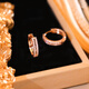 DL 1998 Fat Donglai same style rose gold earrings, temperament earrings 2024 new style micro-embellished fashionable versatile earrings double layer round rose gold double layer earrings