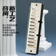 Boogieman [Gleiches Modell in Yuanyuan] KB12 Chromosonic Harmonic 12 Loch Advanced Adult Professional Performance Level