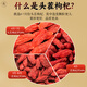 Beijing Tongrentang Authentic Ningxia Red Wolfberry 230G Zhongning Red Wolfberry Tea est utilisé dans la cour intérieure. Produit spécial de spécialité sans soufre