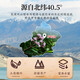 Xiehe Jingpin Genuine Luobuma Té Xinjiang no Wild antihipertensivo Té de salud de presión arterial con gynostem azul verde Qian liufei hojas de té cinco latas [robuma] recomendadas por amigos