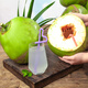 Xianyouji Hainan Wenchang Coconut Green Large Fruit Fresh Coconut Coconut for Pregnant Women is picked and sent with coconut opener and straw 6 coconuts with skin (3 Jin Jin for a single fruit is equal to 0.5 kg - 5 Jin Jin is equal to 0.5 kg)