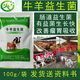 Yifuyuan cattle and sheep probiotics veterinary gastrointestinal live bacteria for lambs, calves and cows ruminant animal feed additives 1 bag of cattle and sheep probiotics 500g without activation