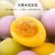Magasin d'adhésion n ° 1 coloré petit chiens petit-petit-déjeuner dessert lantern festival tangyuan 680g