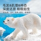 弥鹿（MiDeer）仿真动物企鹅模型北极熊鲨鱼玩具海洋动物礼盒11pcs儿童礼物
