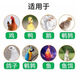 Quail chicken feed, large chicken compound feed, broiler, layer chicken premix, chicks, goose, duck and goose feed, chick food 5Jin Jin is equal to 0.5 kg