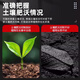 派乐特 土壤检测仪【四合一】数显款 湿度酸碱度温度测试仪PH值检测计
