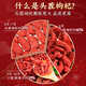 Tongrentang wolfberry 500g Ningxia special authentic origin new product 100 original tea soup Pangchun Donggenglai