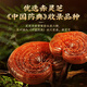 
Tongrentang Breaking Wall Ganoderma lucidum Spore Powder on the Neijing to enhance immunity and nourish the festival gift box after recovery and nourishment